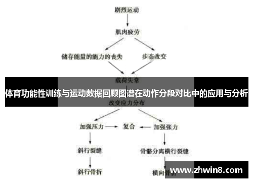 体育功能性训练与运动数据回顾图谱在动作分段对比中的应用与分析