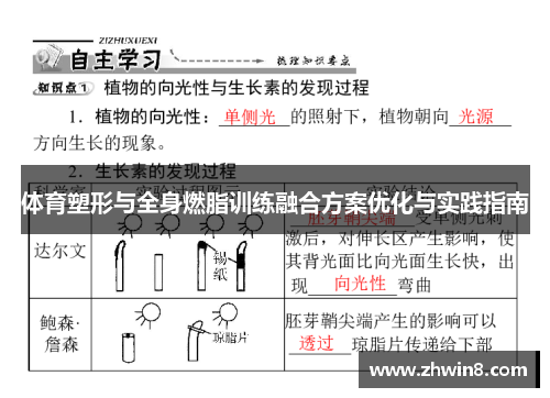 体育塑形与全身燃脂训练融合方案优化与实践指南